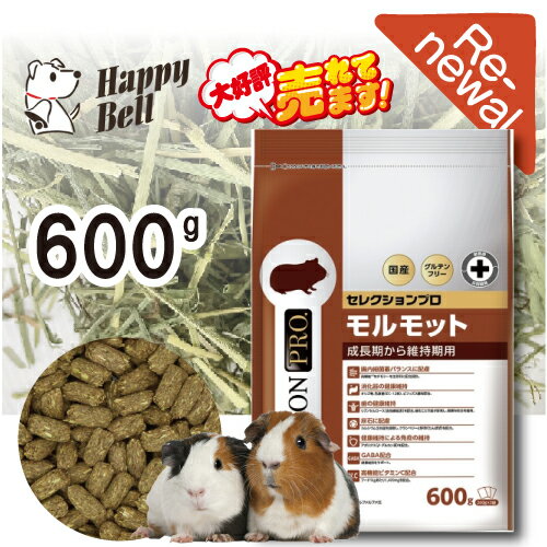 ڥ֥åե饤ǡ15%OFFݥۥ饻쥯ץ600gھ̣ 20270630