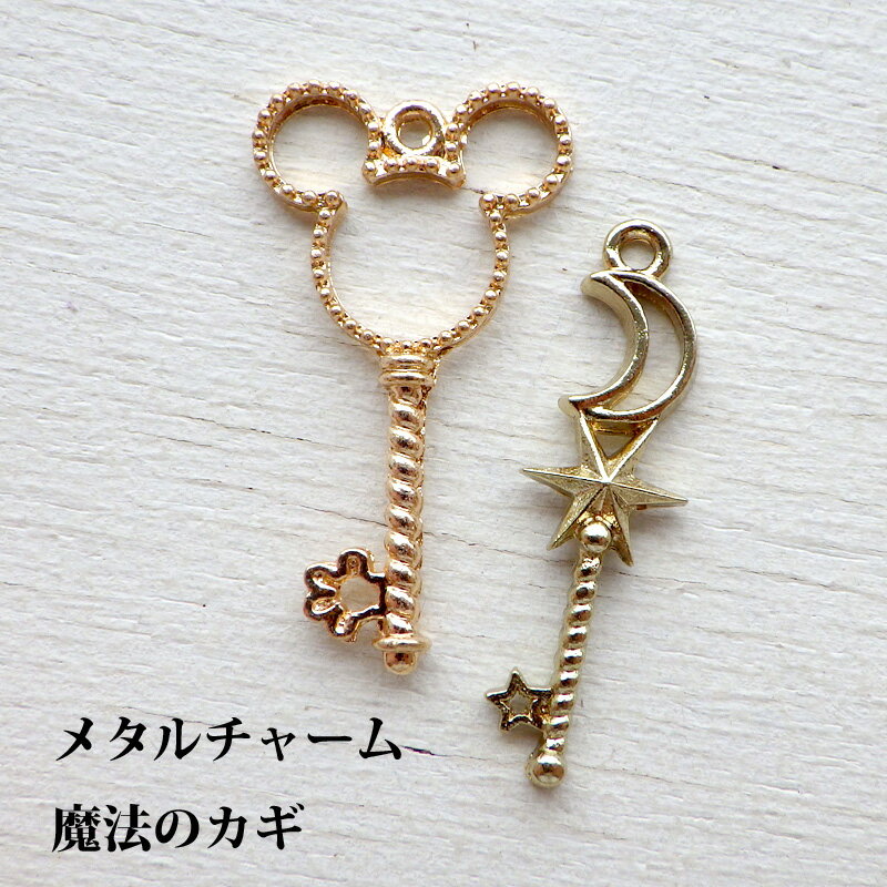 ���㡼�� ��ˡ�Υ��� �ޥ��� �ࡼ�� 2�ĥ��å� �������