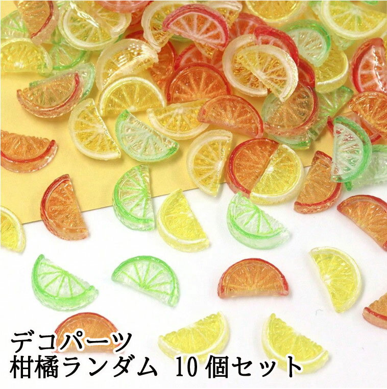 ネイル デコパーツ 柑橘系スライス 10個ネイルデコパーツ デコレーションパーツ 封入
