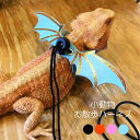 小動物 お散歩ハーネス 爬虫類 翼 ペット ハーネス リード 蜥蜴 トカゲ イグアナ お出かけ 散歩 ハロウィン クリスマス 可愛い おしゃれ