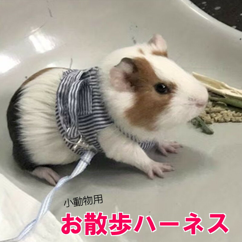 小型ペット用ハーネスウォーキングモ...