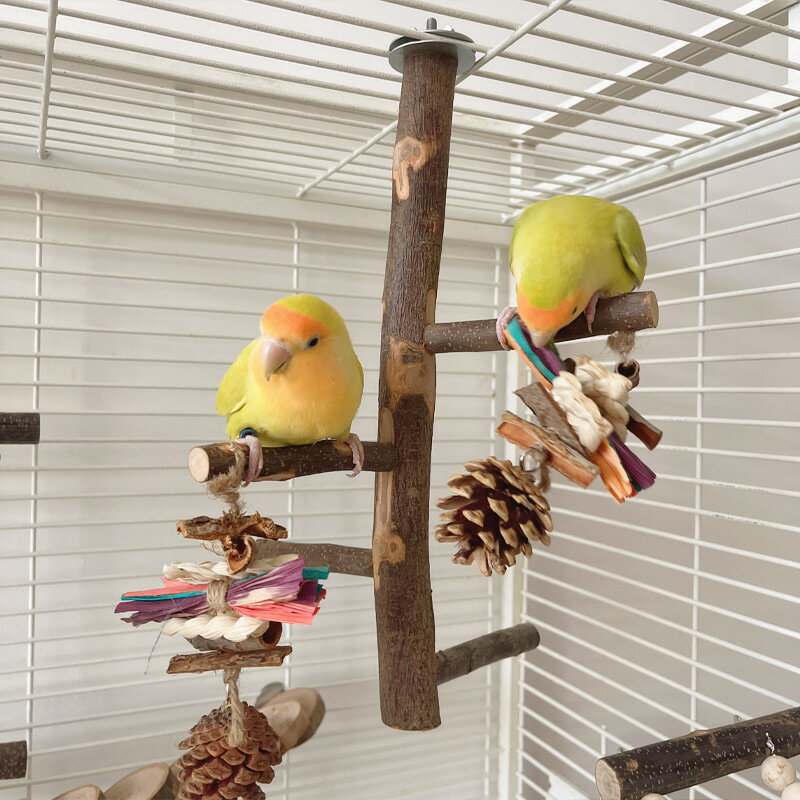 りんごの天然木 木製 吊り下げ 式 小鳥 玩具 遊び場 文鳥 コザクラインコ セキセイインコ オカメインコ ゲージ アクセサリー 運動不足解消 ストレス解消 休憩 仲良し 2羽 設置簡単 ギフト プレゼント 送料無料