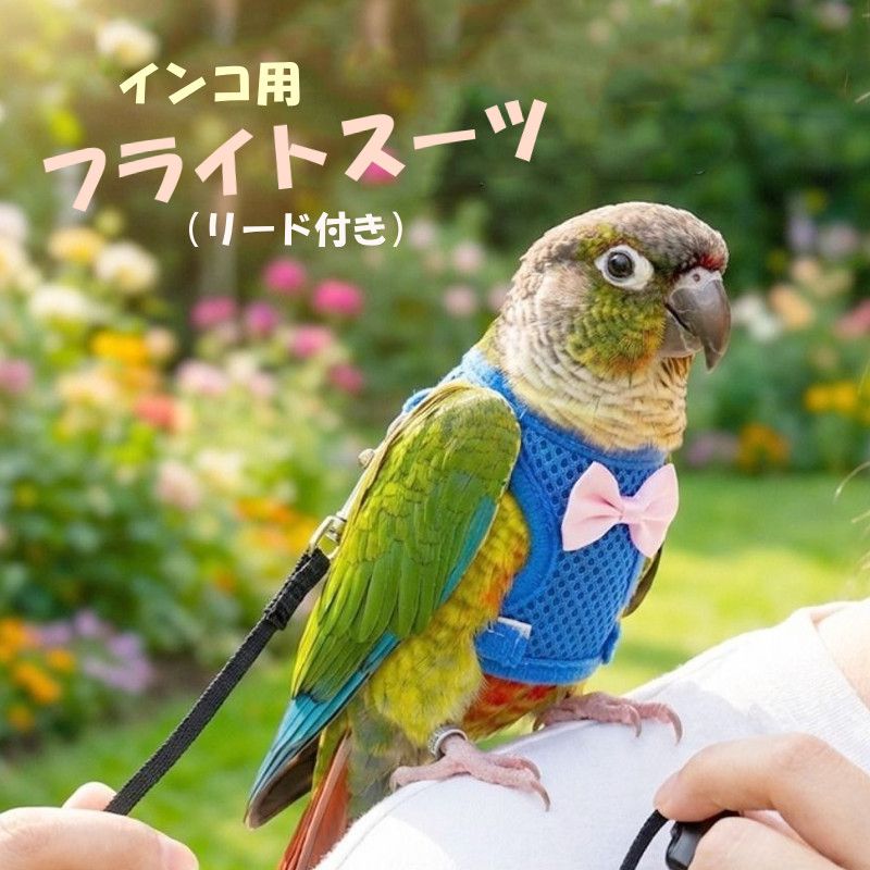 楽天市場】インコのしもべの通販