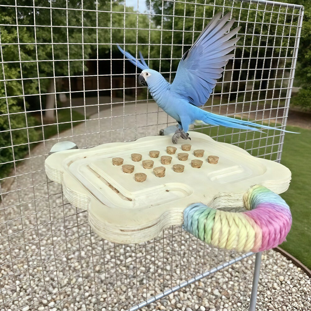 楽天市場】インコ フォージングトイの通販