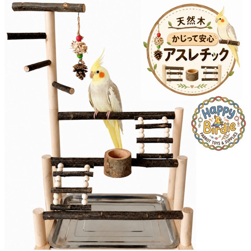 楽天市場】セキセイインコ アスレチックの通販