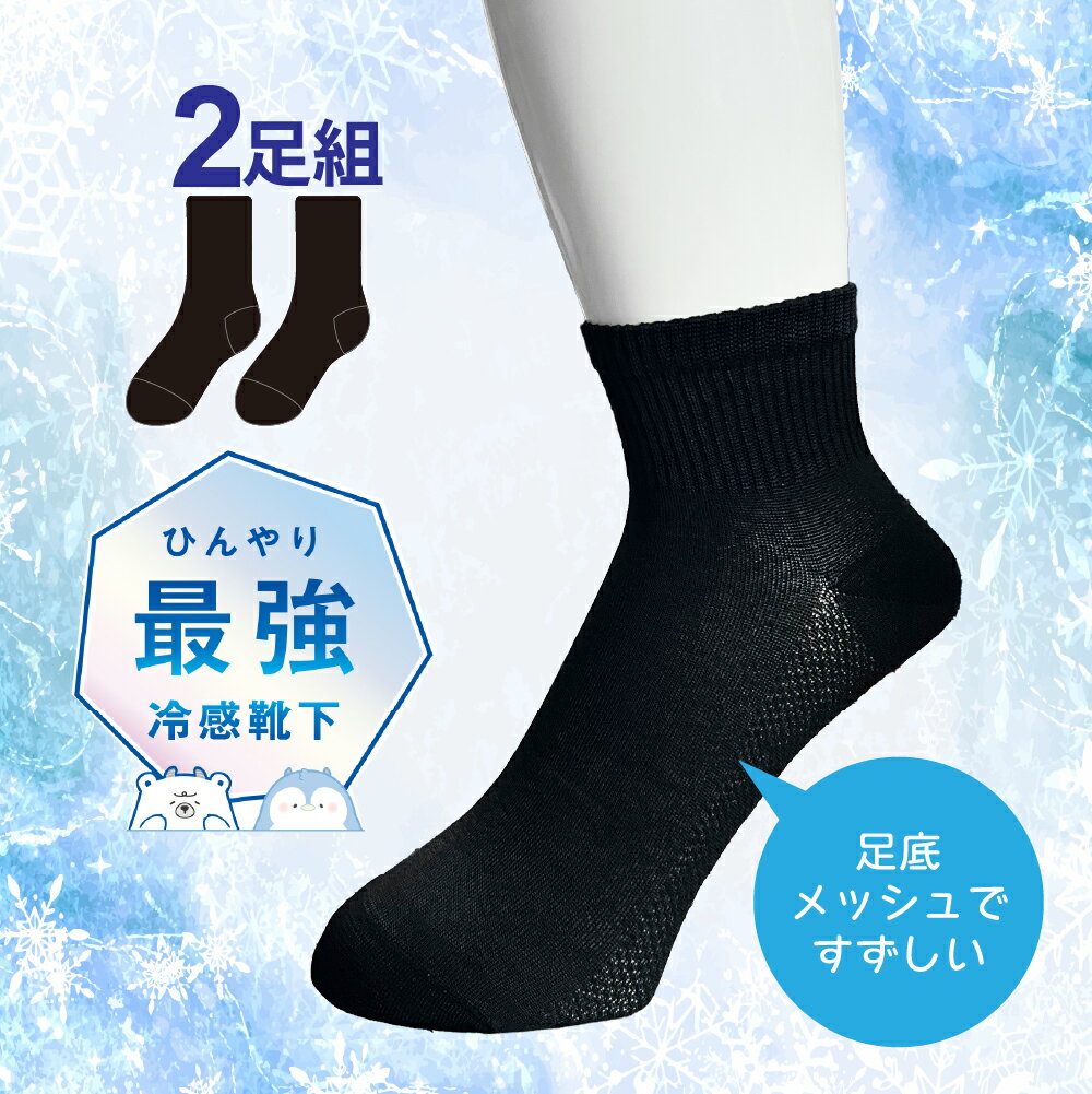 アイスモン COOL MONSTER 2足組 足底メッシュ 最強 接触冷感 Q-max 0.284 レディース 婦人用 女性用 23～25cm クールモンスター