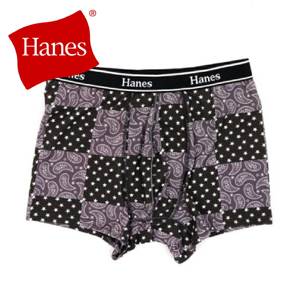 ★2枚セット★ Hanes ヘインズ ボクサーブリーフ M/L/LL HM6EU201 抗菌防臭 下着 イ...