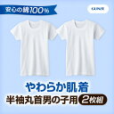 《2枚組》GUNZE(グンゼ)やわらか肌着 半袖【丸首】 男の子用 100?160センチ【綿 コットン】ホワイト 白無地【あす楽】