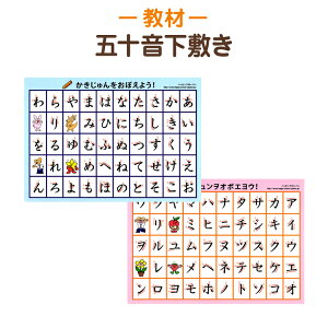 目指せ達筆！書き順がわかる なぞって覚える五十音下敷き ひらがな・カタカナ両面 A4 お受験 知育教材