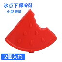 【送料無料】保冷剤 氷点下 2個セット 60ML 小型単品 かわいい 最強 長時間 長持ち 氷点下 保冷材 ハード 保冷パック クーラーボックス 保冷 冷却 アウトドア キャンプ 夏 涼感 冷える 涼しい