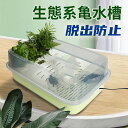 【送料無料】亀水槽 飼育ケース 飼育区域あり 取り外し可能 亀ケージ 清掃便利 ボックス カメ槽 滑り止め 休憩プラットフォーム 脱出防止 爬虫類 両生類用 水族館 両生類用品 亀 登り坂 PP材質