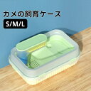 【送料無料】カメ 水槽 飼育ケース 亀 両生類 カメの楽園 水槽 アクアリウム 内装 ボックス タートルタンク 日向ぼっこ台 エサ皿 脱出防止フェンス ミドリガメ クサガメ スッポン 観察 階段 登りやすい 亀さんのお家 カメボックス