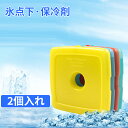 【送料無料】保冷剤 氷点下 2個セット 170ML 単品 最強 長時間 長持ち 氷点下 保冷材 ハード 保冷パック クーラーボックス 保冷 冷却 業務用 アウトドア キャンプ 氷点下保冷剤 急速凍結 超低温