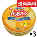 北海道限定 ハッピーターン 20袋入 × 3箱セット 北海道チーズ味 亀田製菓 送料無料 / アジカル 小袋 タイプ 北海道 限定 お菓子 おやつ ご当地 ギフ...