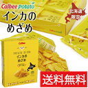 インカのめざめ POTATO STICK(17g×8袋)×10個セット / 送料無料 カルビー calbee 北海道限定 ポテトスティック 黄金ポテト 北海道み...