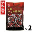 ミニソフトサラミ 50g × 2袋 江戸屋 送料無料 / 江戸屋 ミニソフトサラミ 50g ソフトサラミ サラミ 国産 おつまみ おやつ お酒のお供 ビールに合...