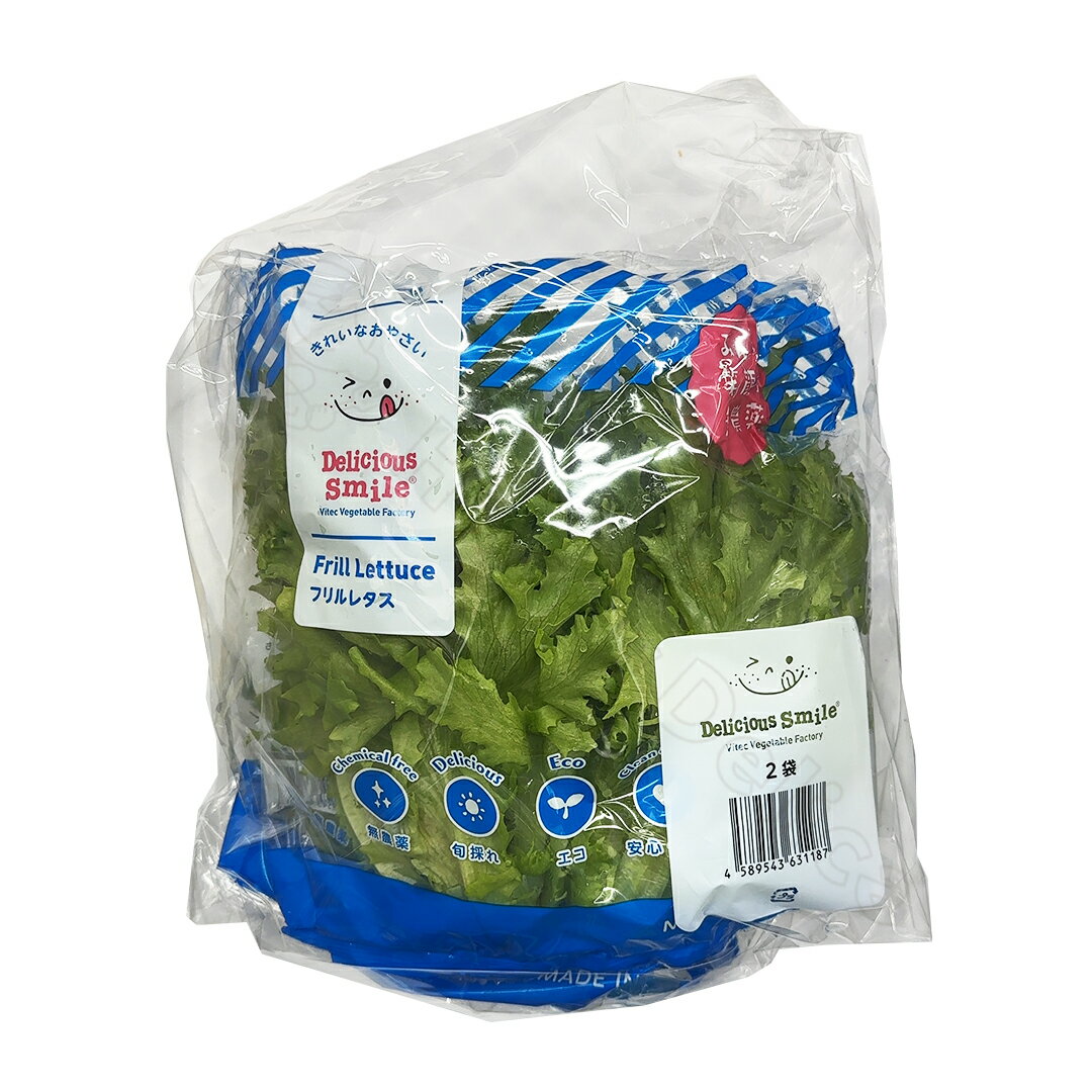 フリルレタス 4株 栽培期間中 農薬不使用 野菜 食品 冷蔵 レタス 種類 新鮮 生鮮食品 賞味期限 生鮮野菜 フリル 葉物 瑞々しい サラダ 炒め物 レシピ 食材 素材 アレンジ チャーハン カロリー cal 水分 ヘルシー ダイエット 効果 産地 無農薬 安心 安全【Costco コストコ】