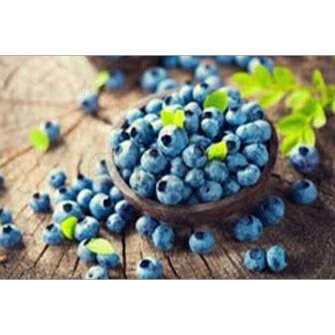 冷蔵 生 ブルーベリー 510g Blueberries フルーツ 果物 食品 ヨーグルト ケーキ おやつ 朝食 料理 ダイエット 健康 万能 便利 食材 キッチン クッキング コストコ レシピ アレンジ そのまま ジャム ソース パンケーキ【Costco コストコ】
