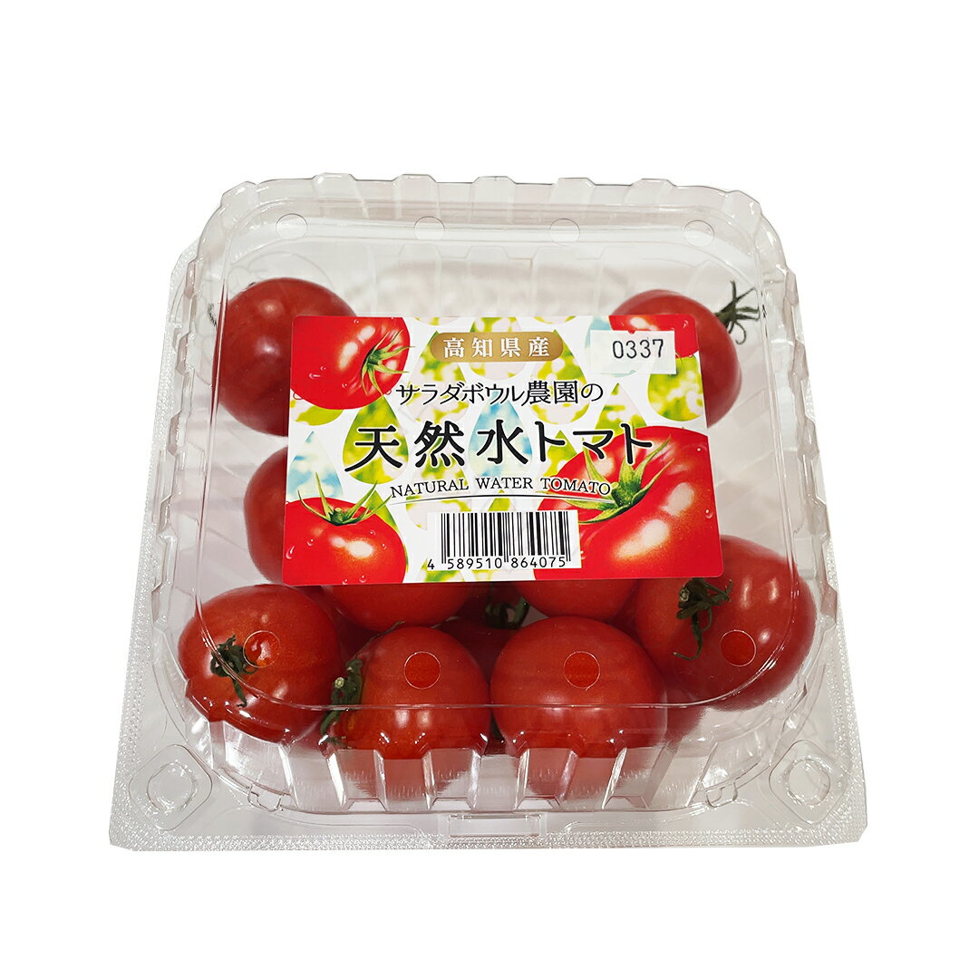 天然水トマト 1kg 高知県産 野菜 食品 冷蔵 【Costco コストコ】のサムネイル