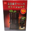 アサヒコ お豆腐で作ったガトーショコラ 10本 ヘルシー 低カロリースイーツ チョコレートケーキ グルテンフリー 乳製品不使用 アレルギー対応 スイーツ 体に優...