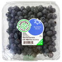 冷蔵 生 ブルーベリー 510g Blueberries フルーツ 果物 食品 ヨーグルト ケーキ おやつ 朝食 料理 健康 ダイエット 健康 万能 便利 食材 キッチン 台所 風呂 クッキング 