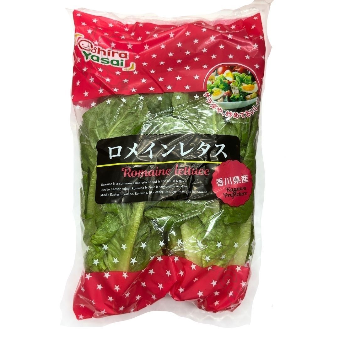 国産 ロメインレタス 約370g×2 香川県産 野菜 サラダ 食品 冷蔵 栄養成分 調理方法 レシピ クックパッド アレンジ 育て方 切り方 人気 ドレッシング 洗い方 大量消費 ちくわ ちぎり方 保存方法 時期 ダイエット 長持ち 新聞紙 芯 半分 簡単 健康維持【Costco コストコ】