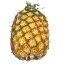 クラウンレス ハニーグローパイナップル 約1.6kg 冷蔵 フルーツ 果物 【Costco コストコ】
