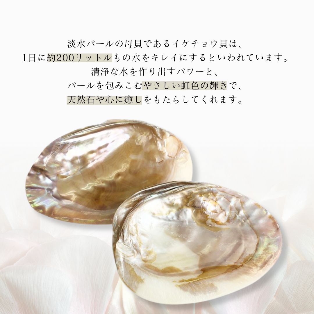 イケチョウ貝浄化セット イケチョウ貝 ハーブ セージ ホワイトセージ 天然石 空間 セラピー リラックス 瞑想 セルフケア 癒し インテリア