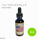 フォース チャクラ ブレンド 第四チャクラ パワーオフブラワーヒーリングエッセンス 30ml アメリカフラワーエッセンス パワーオフブラワーヒーリング 浄化 セラピー リラックス 瞑想 セルフケア 癒し