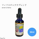 フィフスチャクラ ブレンド 第五チャクラ パワーオフブラワーヒーリングエッセンス 30ml アメリカフラワーエッセンス パワーオフブラワーヒーリング 浄化 セラピー リラックス 瞑想 セルフケア 癒し
