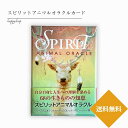 スピリットアニマルオラクル オラクルカード メッセージ 占い セルフケア リーディング 美しい 綺麗 かわいい きれい おしゃれ アファメーション 恋愛 仕事 人生 人間関係 占術 当たる 日本語解説書付 正規品 アニマル 動物 自然