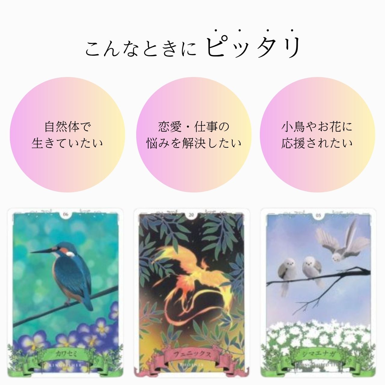 バードオラクル オラクルカード 日本語版 日本語解説書付き 正規品 占い 当たる 美...