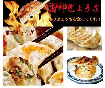 【送料無料】俺のぎょうざを喰ってくれ！濃厚背脂餃子、一度食べたらヤミツキ間違いなし！パーティーパック300個 【SSMay15_point20】【20P30May15】