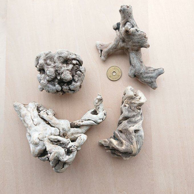 流木 約6.5〜約12.5cm 210426b
