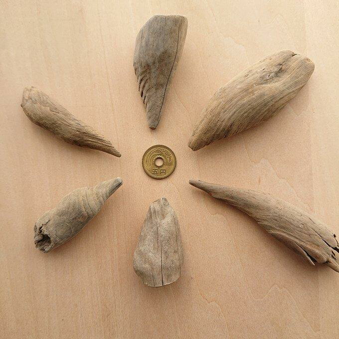 流木 約4.7cm〜10cm 211014F