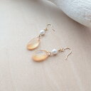 桜貝 & パール ぷっくりピアス サクラ貝 さくら貝