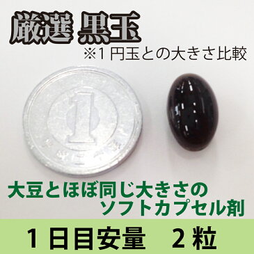 厳選　黒玉　【毎日を元気に過ごしたい方へ】黒酢もろみサプリ　黒ウコン　黒ニンニク　黒胡椒　ネコポス送料無料〜1袋　約1ヶ月分（62粒）