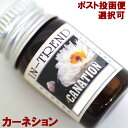 アロマオイル5ml-カーネーションCANAT