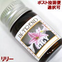 アロマオイル5ml-リリーLILY/アジアン