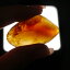 バーマイト ミャンマー産琥珀(アンバー) 原石磨き 1点物 約6.5グラム 約4.5×2.5センチ 天然石・置物・原石