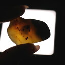バーマイト ミャンマー産琥珀(アンバー) 原石磨き 1点物 約8.8グラム 約4×2.5センチ 天然石・置物・原石