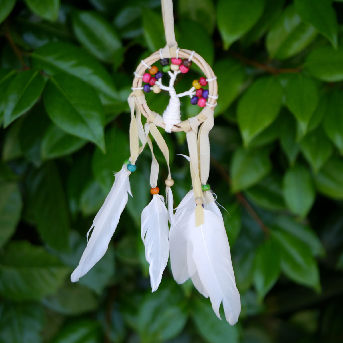 ͥƥ֥ǥΤ ɥ꡼७å㡼 Tree of Life ĥ꡼֥饤 ̿ 4