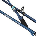 イカメタルロッド ベイト メタルトップ 1.75M ML(4)