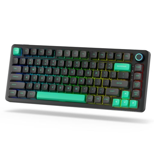 LTC NIMBLEBACK NB832 ワイヤレス 75% ガスケット メカニカル キーボード、トライモード BT5.0/2.4G/USB-C 有線、ホットスワップ可能な 82 キー RGB ゲーミング キーボード (ソフトウェアと 5 LTC NIMBLEBACK NB832 ワイヤレス 75% ガスケット メカニカル キーボード、トライモード BT5.0/2.4G/USB-C 有線、ホットスワップ可能な 82 キー RGB ゲーミング キーボード (ソフトウェアと 5
