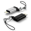 BIOONISタイプcライトニング変換アダプタ防紛失ストラップ付typeclightningアダプタ2個セット27WPD急速充電/480Mbps転送対応アルミ合...