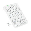 ICLEVER テンキー ワイヤレス 2.4G 数字 キーボード パンタグラフ式 TYPE-C充電 超薄型 TABキー付き 持ち運び便利 無線 ナンバーパッド 片手デバイス 高耐久 PC ノートブック用 WINDOWS対応 IC-KP09 (ホワイト)(2)