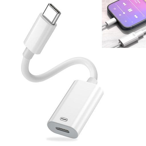 TYPE C TO 饤ȥ˥ Ѵ ץ 3IN1 2024ⵡǽǡUSB C Ѵ ۥ Ѵ֥ ® + ®...