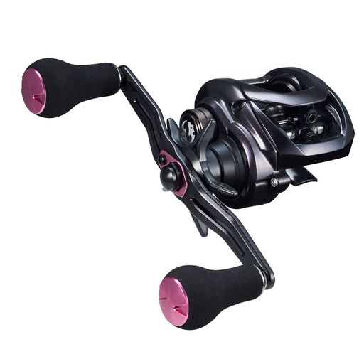 (DAIWA) ٥ȥ꡼ 23Ȳ 100XH