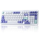 DAREUEK98PROゲーミングキーボード無線テンキー付きメカニカルキーボード2.4Gワイヤレス/BLUETOOTH/有線USB接続可能96%英語配列ガスケットマウントRGBホットスワップ対応DREAM(2)