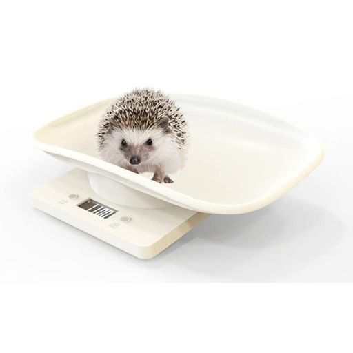 ペット 体重計 スケール 小型 動物 猫 犬 デジタル 1G単位 10KGまで 電池式 ホワイト ペット 体重計 スケール 小型 動物 猫 犬 デジタル 1G単位 10KGまで 電池式 ホワイト
